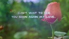 For My Special Someone - I miss you my love