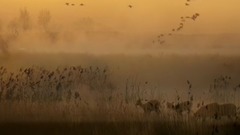 云朵 - 最后一滴泪