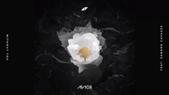 Avicii - Without You