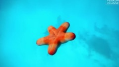 Elian West Just To You Original Mix