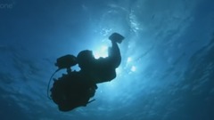 BBC:海洋巨物 Ocean Giant(2-3):水下思考者