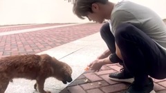 鹿晗 - 【奔狍小剧场】鹿晗运动季运动足球鹿Boss再度回归