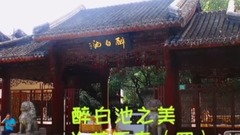 夏曰荷韵(4)醉白池之美