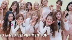 少女时代,Red Velvet - 【red_velvet×少女时代】腿毛有爱瞬间