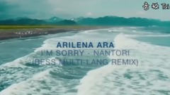 Arilena Ara I M Sorry Nentori Gon Haziri Bess Multi Lang Remix