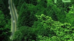 三流之路  之【对待小三的正确态度】