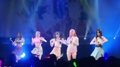 Real Girls Project - PINGPONG GAME