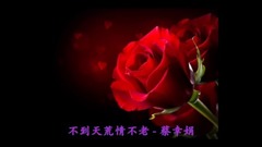 不到天荒情不老