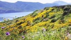 Tales of the Wind - Taylor Davis (Original Song)