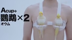 如果用动物来衡量女子胸部的重量......