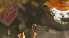 印度群星,影视原声 - Bale Bale Bale 印度电影<巴霍巴利王2:终结>插曲 中英字幕