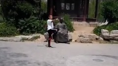 天津北宁公园的麒麟鞭