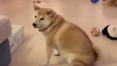 Part XI - nightmares