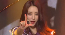 Dream Catcher - Fly high