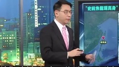 「史前鱼龙现真身」 库页岛又见神秘海怪KGB迅速清理带离现场