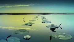 心如莲花,一路芬芳