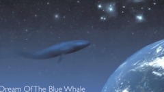 Anders Holte（安德鲁·霍特） - 蓝鲸之梦 Dream Of The Blue Whale
