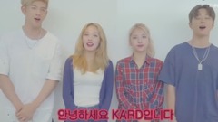 韩国综艺,K.A.R.D - 卡牌评出各国翻跳Hola的个人和团体优胜者