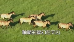 德德玛 - 苍天般的阿拉善