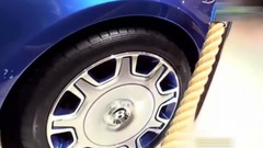 何伟政 - 政敏家族(政家军创始人洛子兮)