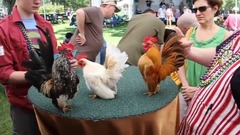 Serama Cajun Classic 2012