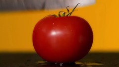 影视原声 - 名导演的菜谱