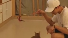 【许魏洲】今夏