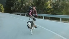 滑板型男与他的狗狗