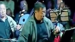 朝阳沟选段 银环下山