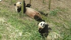 常州天目湖南山竹海