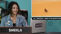 美国大学生看MAJOR LAZER - SUA CARA