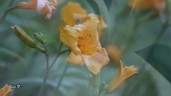 Ernesto Cortazar - I Will Mend Your Broken Heart