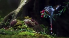 Ernesto Cortazar - Youth Love and Fantasy