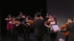 弦乐 沃尔夫 意大利小夜曲