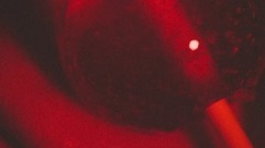 Maroon 5,SZA - What Lovers Do