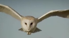 影视原声 - 地球:神奇的一天