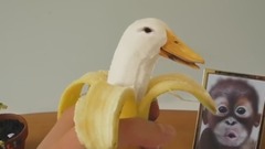 Eating a GENETICALLY MODIFIED (GMO) BANANA!!! Kluna Tik Dinner #88 ASMR eating sounds no talk