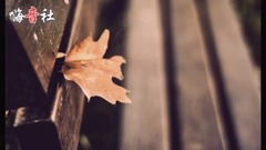 电子琴经典纯音乐  好听!