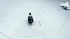 taeyeon_ss ins 更新视频