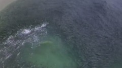 Epic Drone Footage of the Florida Mullet Run - 4K