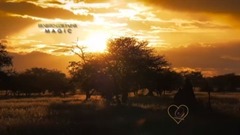 Ernesto Cortazar - MAGIC