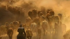 经典音乐作品欣赏