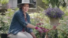 Can't Stop Won't Stop