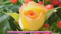 GOOD MORNING video -Whatsapp