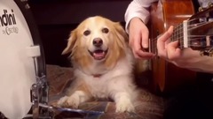 Boulevard of Broken Dreams