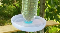 How To Make A Bird Water Feeder _ DIY Homemade Plastic Bottle Bird Water Feeder