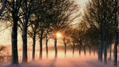 夏之雪(Summer Snow)