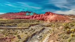 80年代二王一后