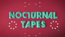 Nocturnal Tapes - Is It Too Late