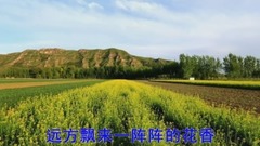 华语群星 - 草原花开香四方MV